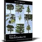Trees & Conifers V3