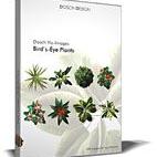 Bird´s Eye - Plants